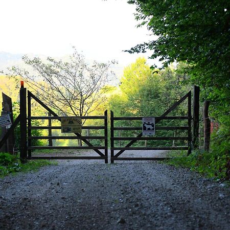 ポドチェトルテクEko Pony Ranch Ogrizekアパートメント エクステリア 写真