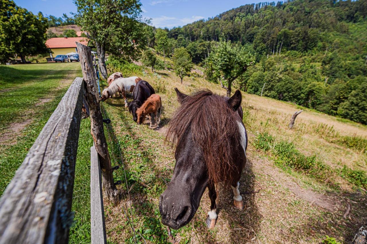 ポドチェトルテクEko Pony Ranch Ogrizekアパートメント エクステリア 写真